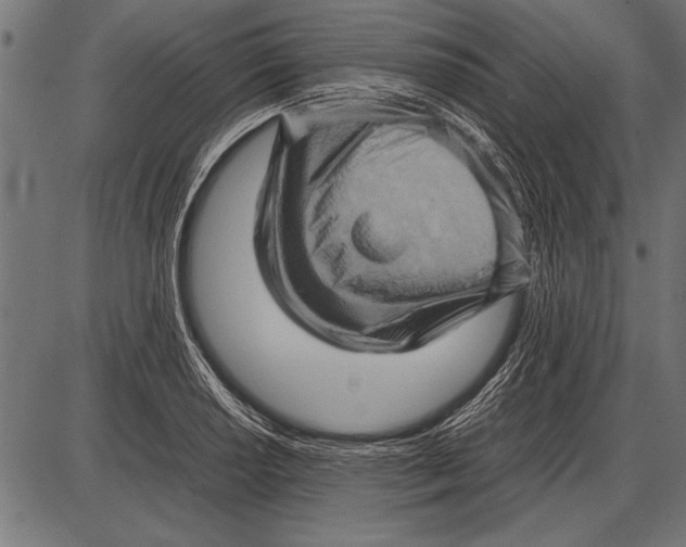 X0000085731034200704091439