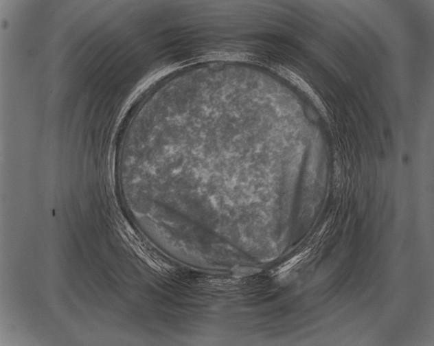 X0000085731035200704091439