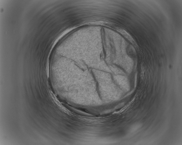 X0000085731036200704091439