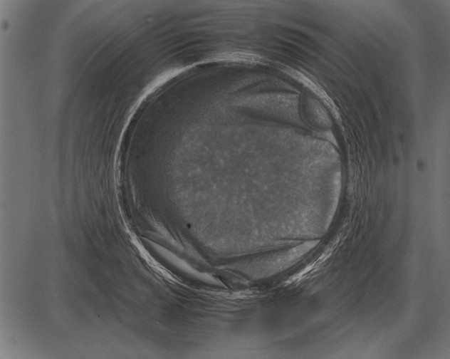 X0000085731037200704091439