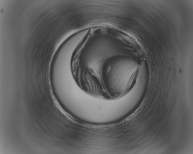 X0000085731038200704091439