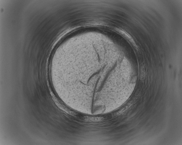 X0000085731039200704091439