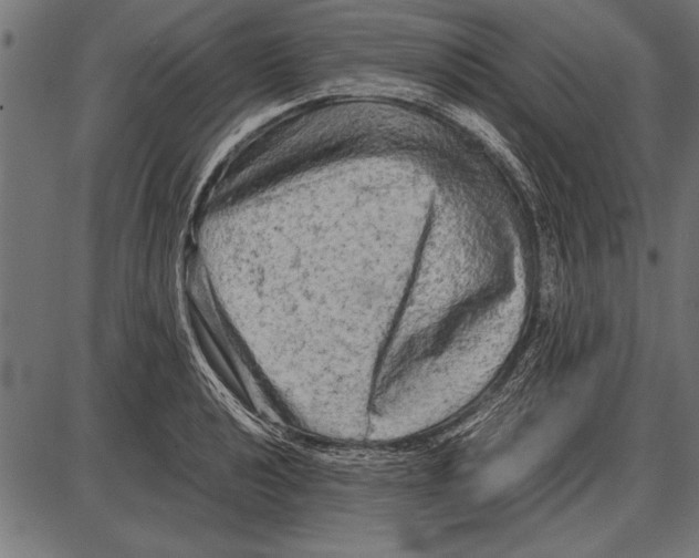 X0000085731040200704091439