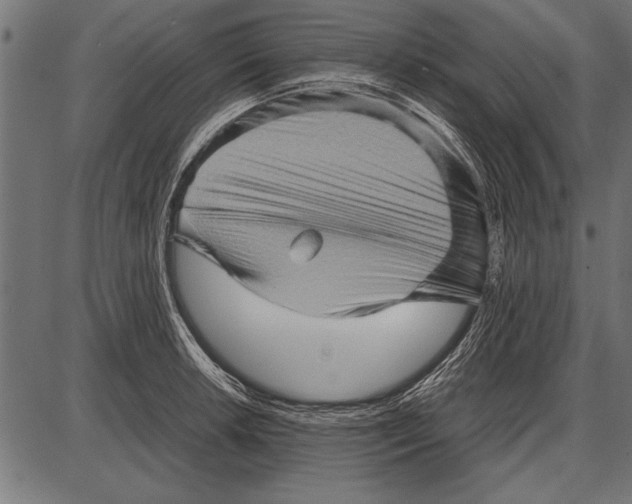 X0000085731042200704091439