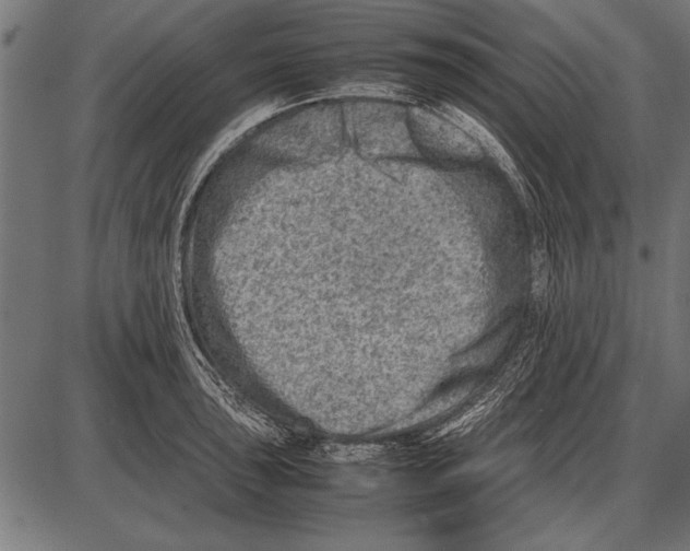 X0000085731043200704091439