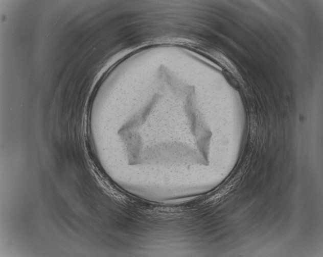 X0000085731044200704091439