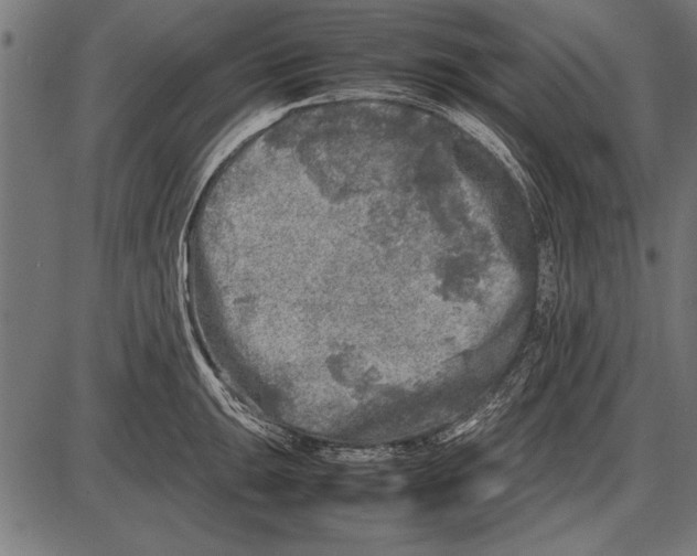 X0000085731047200704091439