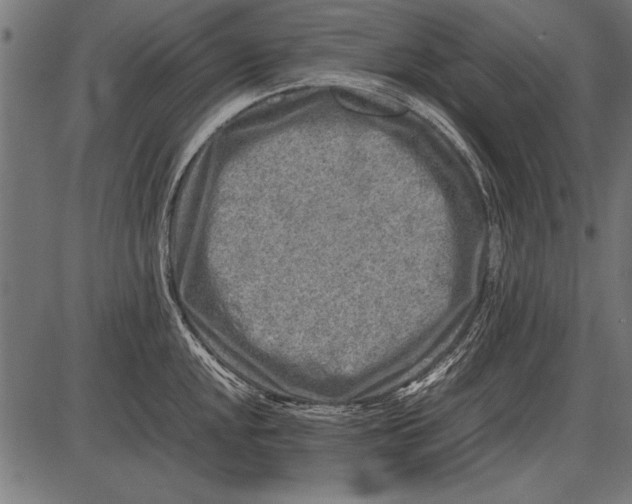 X0000085731048200704091439