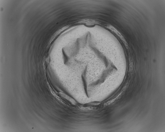 X0000085731049200704091439