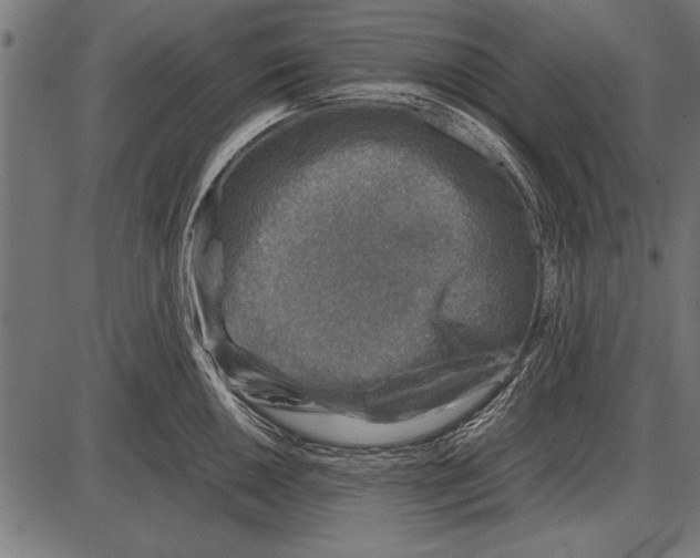 X0000085731050200704091439