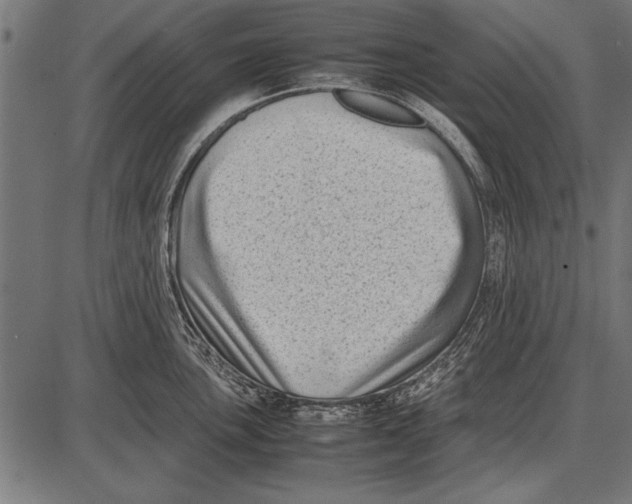 X0000085731051200704091439