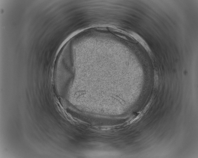 X0000085731052200704091439