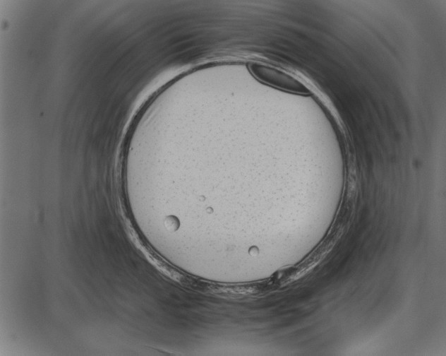 X0000085731053200704091439