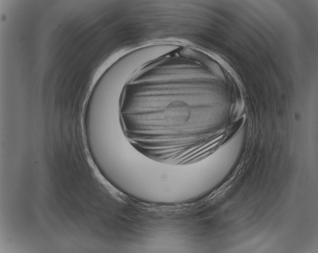 X0000085731054200704091439