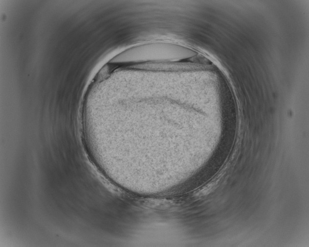 X0000085731056200704091439