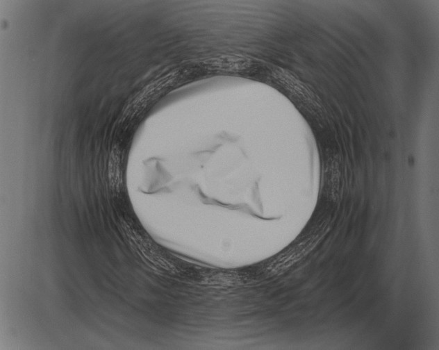 X0000085731058200704091438