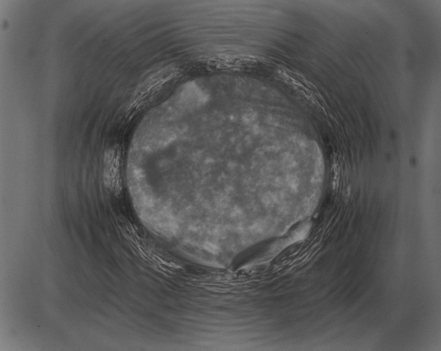 X0000085731060200704091438