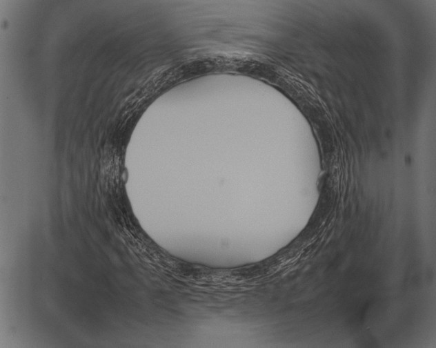 X0000085731061200704091438