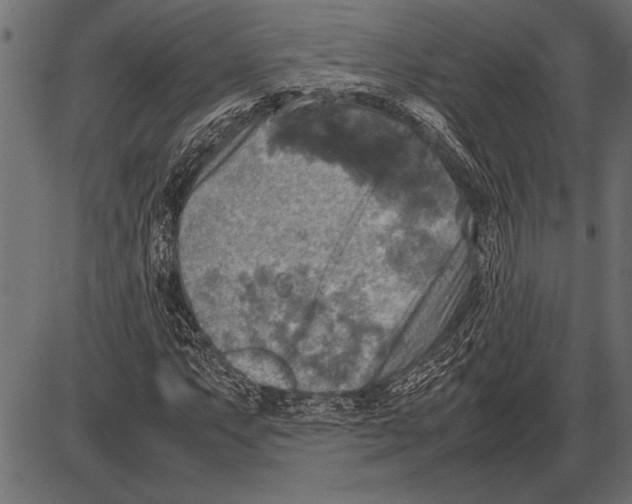 X0000085731063200704091438