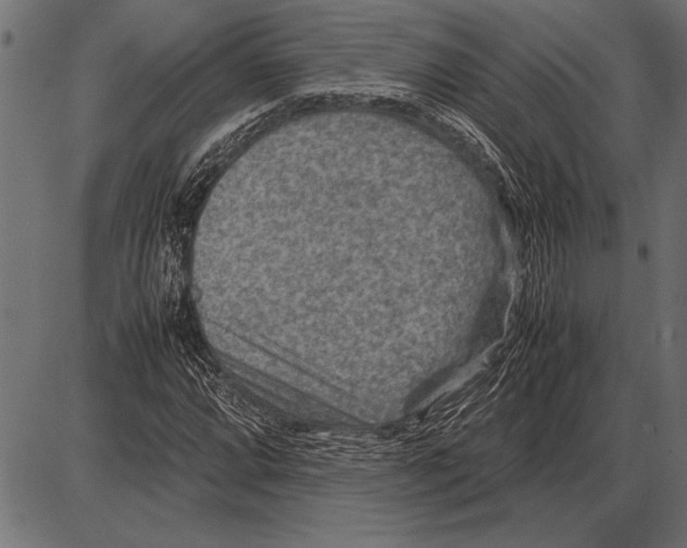 X0000085731064200704091438