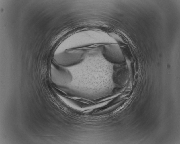 X0000085731065200704091438