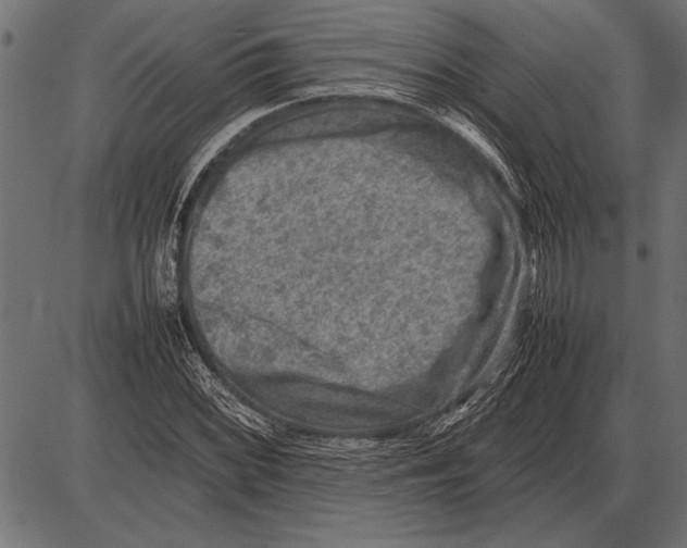 X0000085731068200704091438