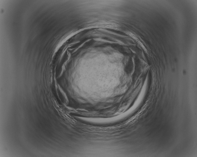 X0000085731069200704091438