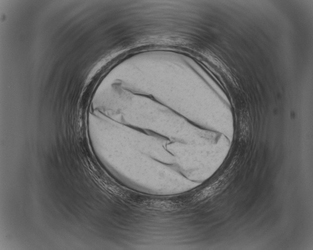 X0000085731070200704091438