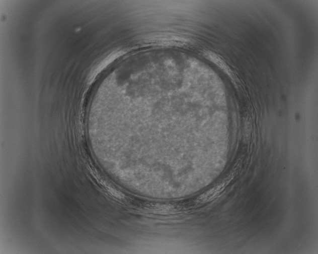 X0000085731071200704091438