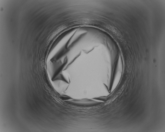 X0000085731073200704091438