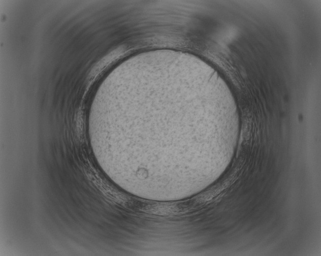 X0000085731074200704091438