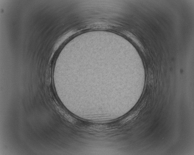 X0000085731075200704091438