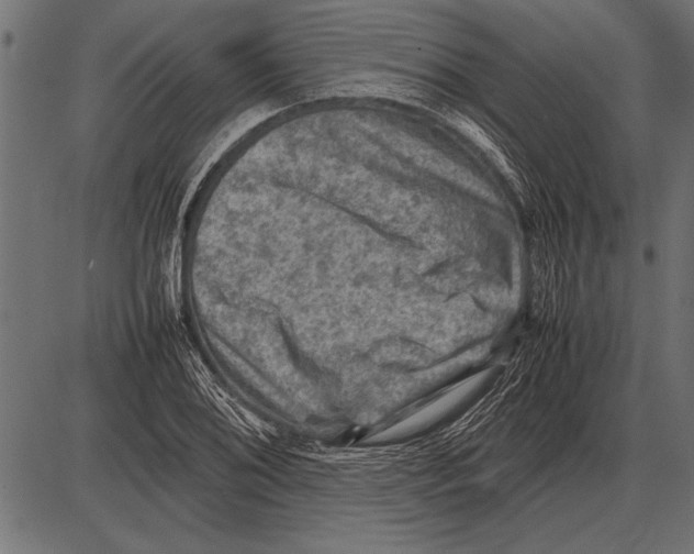 X0000085731076200704091438