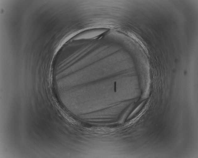 X0000085731077200704091438