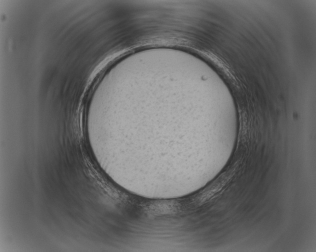 X0000085731078200704091438