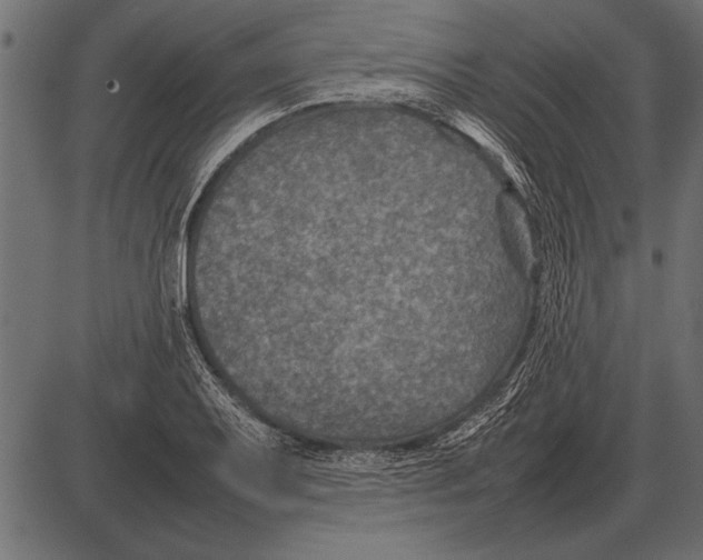 X0000085731079200704091438