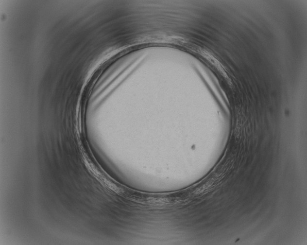 X0000085731080200704091438