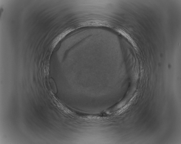 X0000085731081200704091438