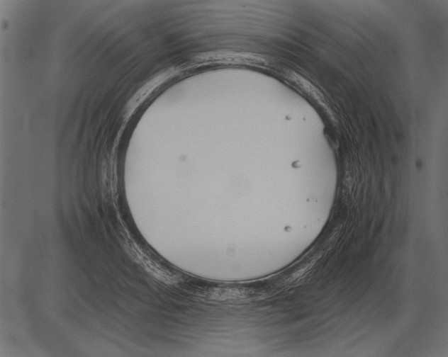 X0000085731082200704091438