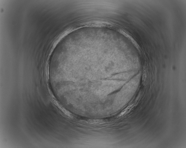 X0000085731083200704091438