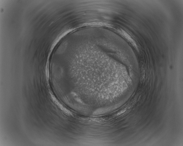 X0000085731084200704091438