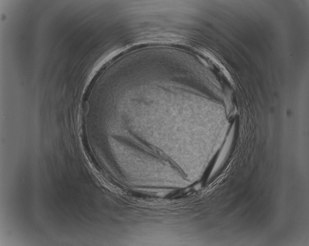 X0000085731085200704091438