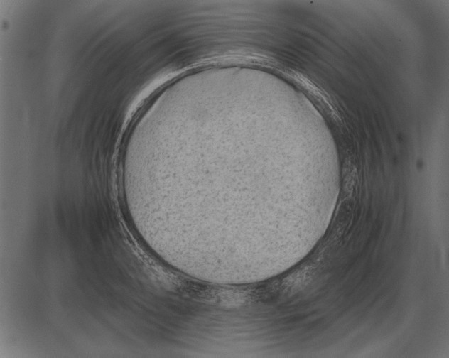 X0000085731086200704091438