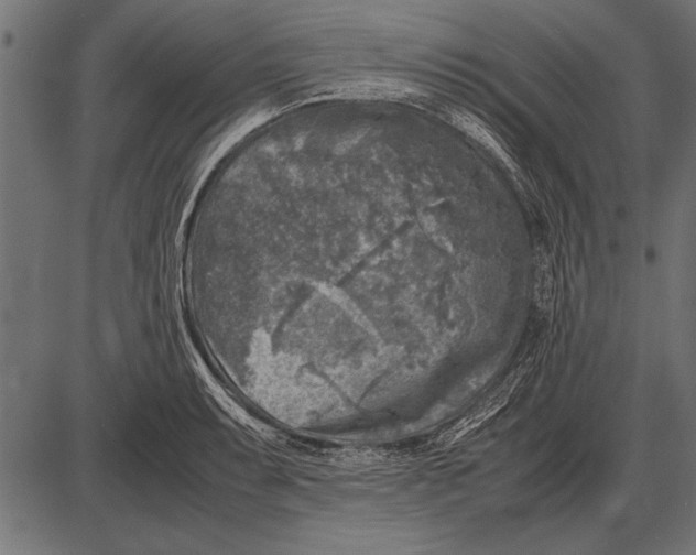 X0000085731087200704091438