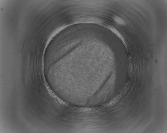 X0000085731088200704091438