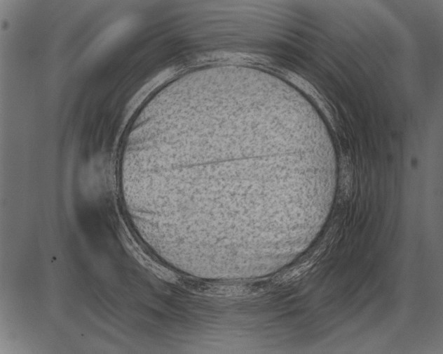 X0000085731090200704091438