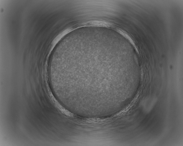 X0000085731091200704091438