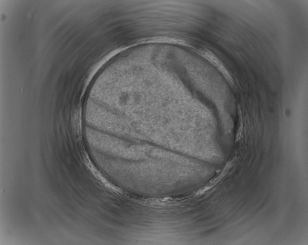 X0000085731092200704091438