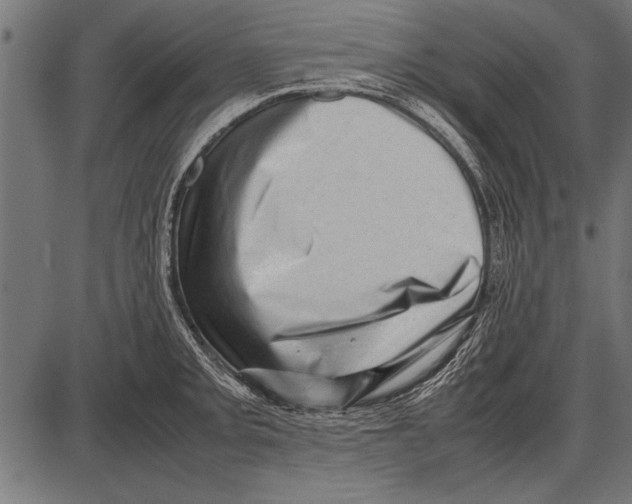 X0000085731093200704091438