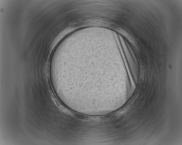 X0000085731094200704091438